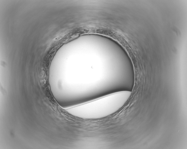 X0000090961253200708021114