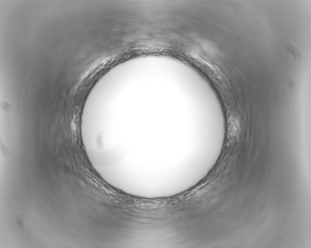 X0000090961254200708021114