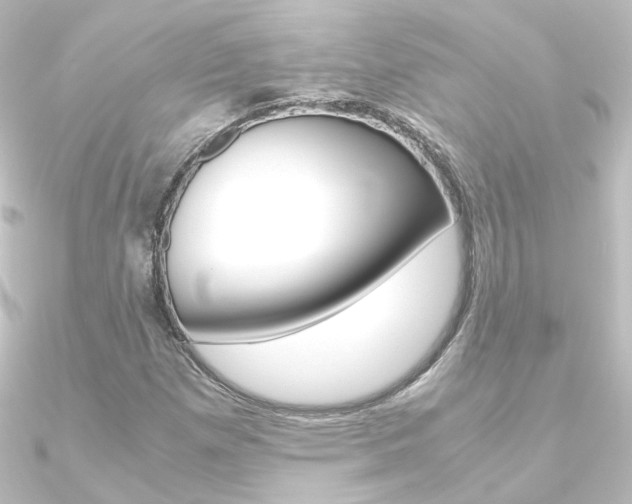 X0000090961257200708021114