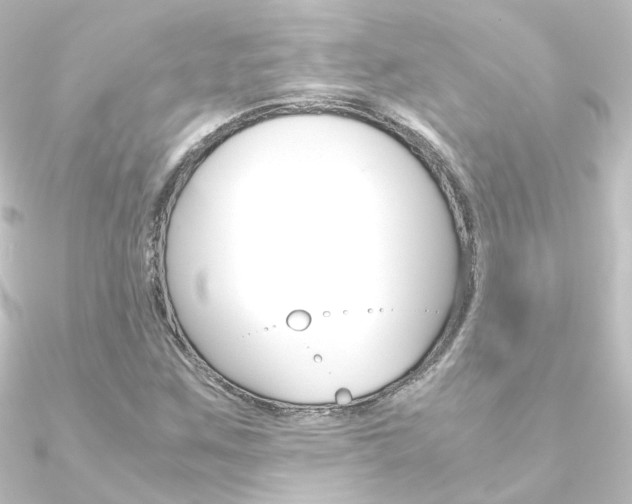 X0000090961259200708021114