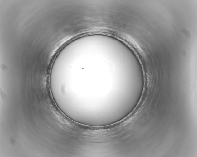 X0000090961260200708021114
