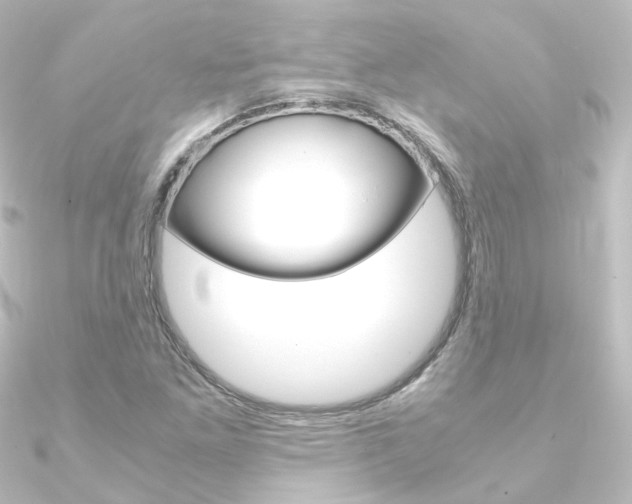 X0000090961261200708021114