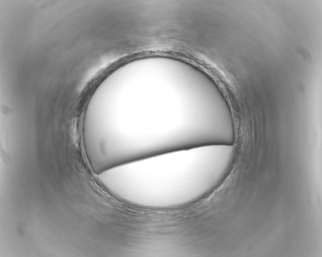 X0000090961262200708021114