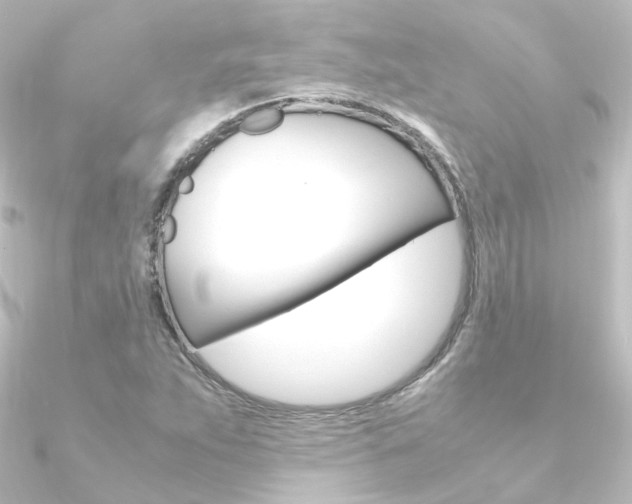 X0000090961263200708021114