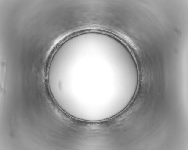 X0000090961264200708021114