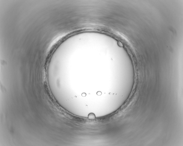X0000090961267200708021114