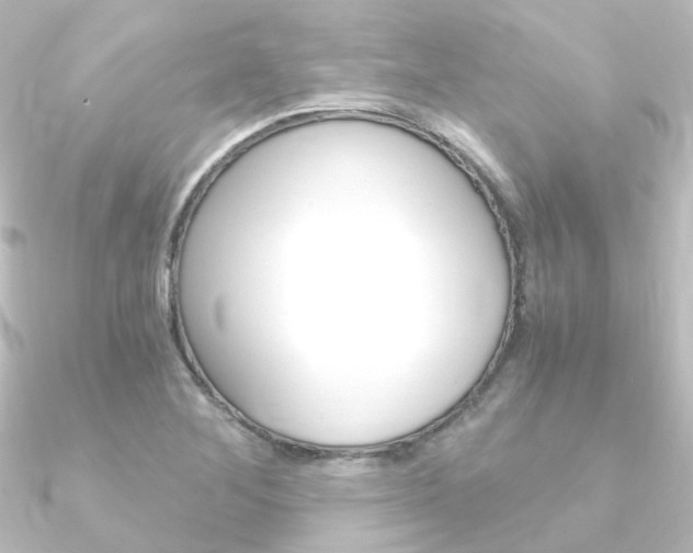 X0000090961268200708021114