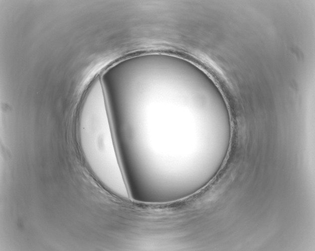 X0000090961269200708021114