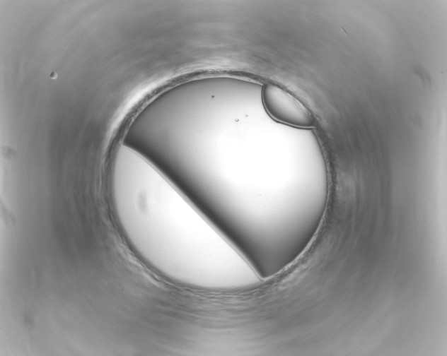 X0000090961270200708021114