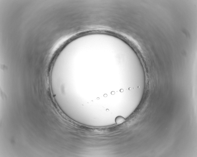 X0000090961271200708021114