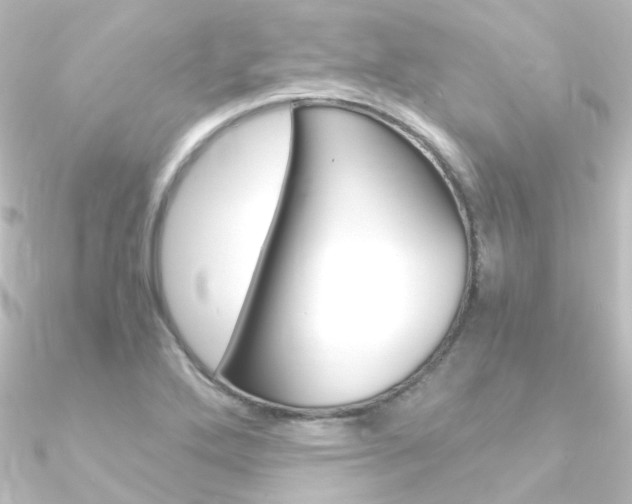 X0000090961272200708021114