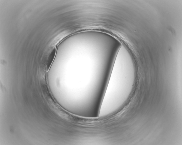 X0000090961273200708021114
