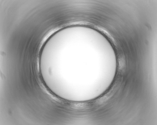 X0000090961274200708021114