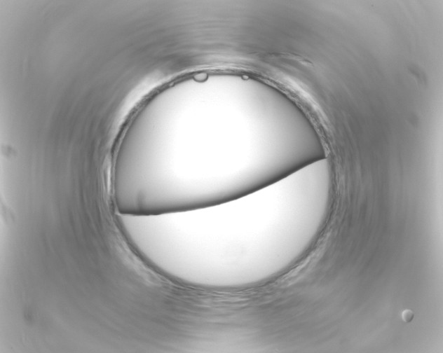 X0000090961275200708021114