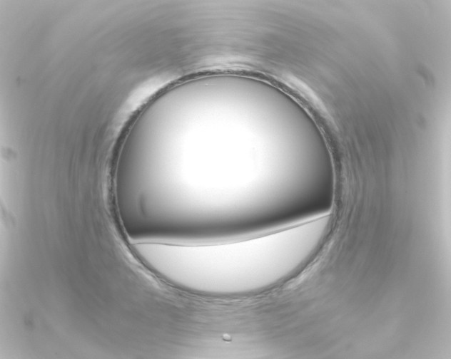 X0000090961277200708021114