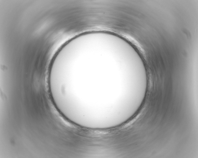 X0000090961278200708021114