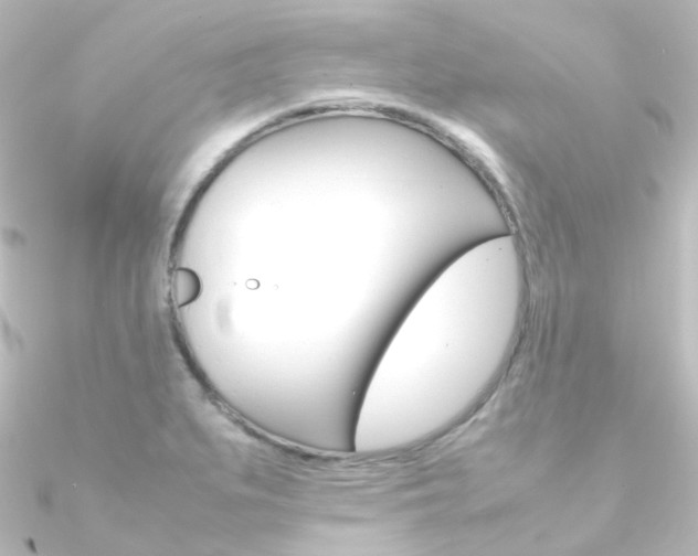 X0000090961279200708021114