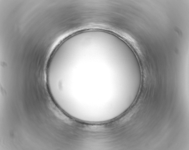 X0000090961280200708021114
