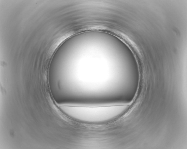 X0000090961281200708021114