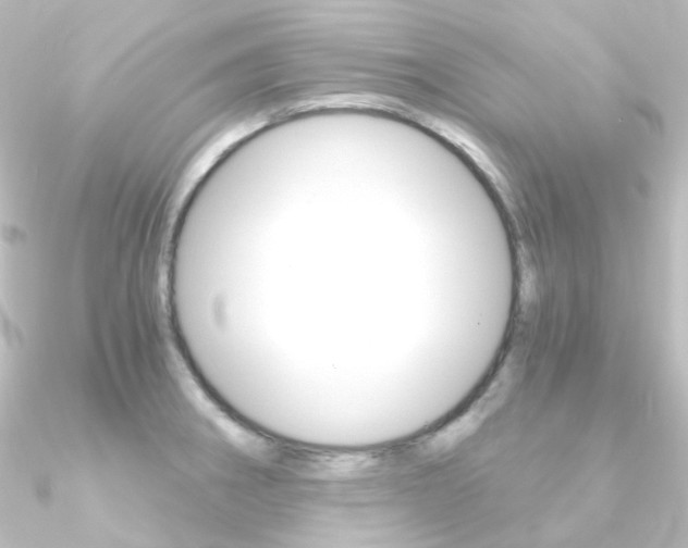 X0000090961282200708021114