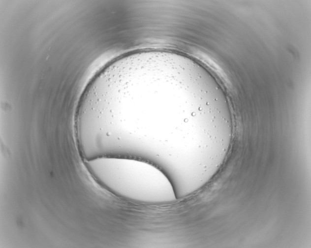 X0000090961283200708021114