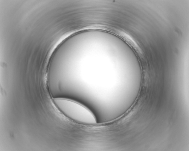 X0000090961284200708021114