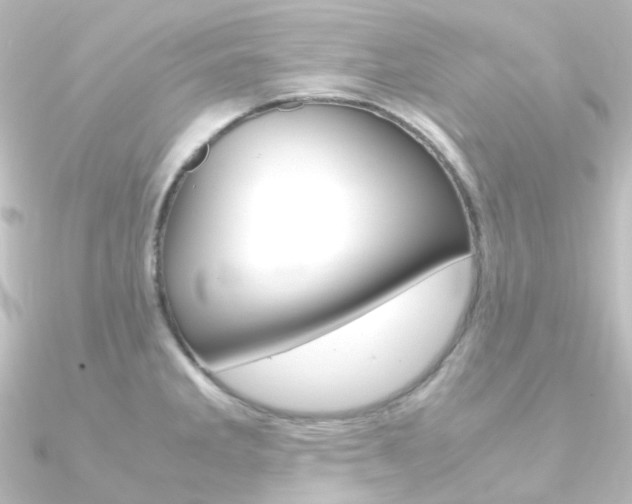 X0000090961285200708021114