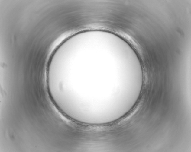 X0000090961286200708021114