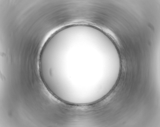 X0000090961288200708021114