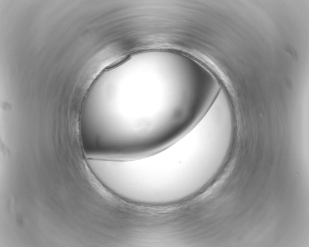 X0000090961289200708021114