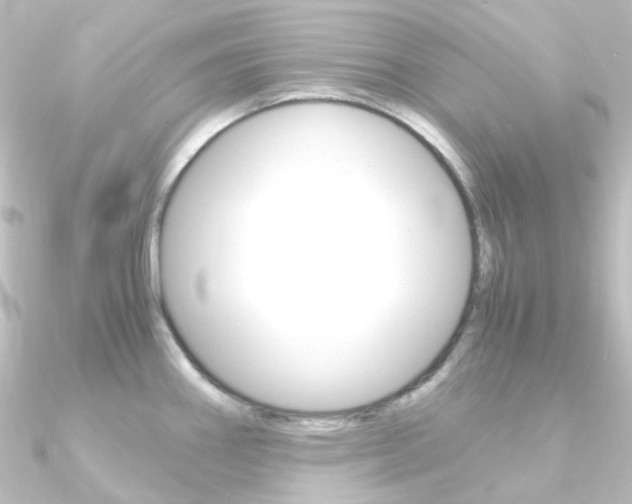 X0000090961290200708021114