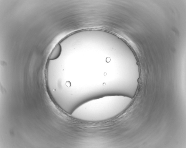 X0000090961291200708021114