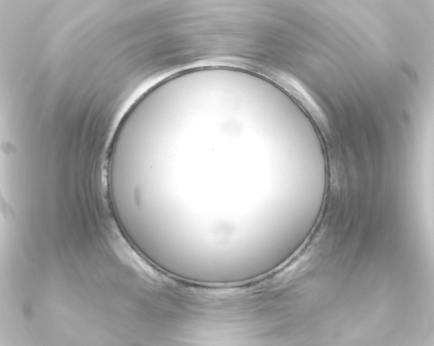 X0000090961292200708021114