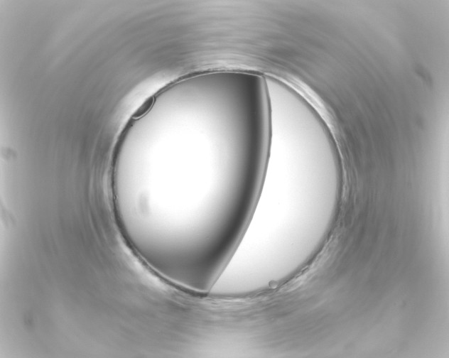 X0000090961293200708021114