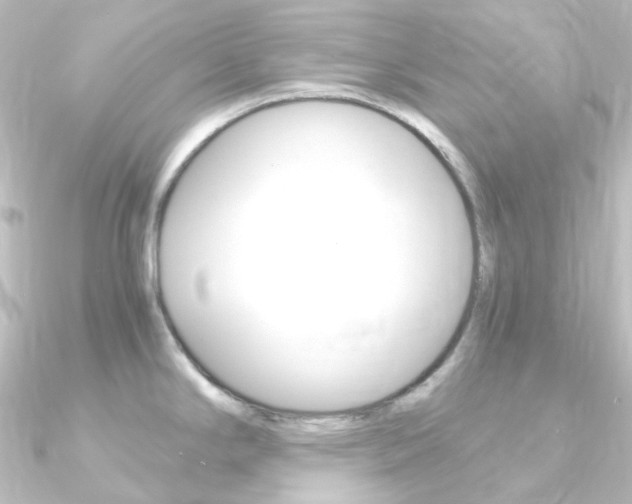 X0000090961294200708021114