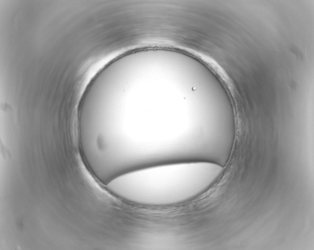 X0000090961295200708021114