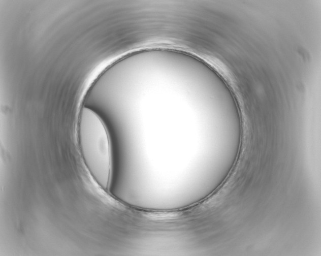 X0000090961296200708021114