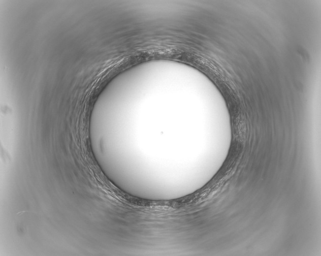 X0000090961297200708021113