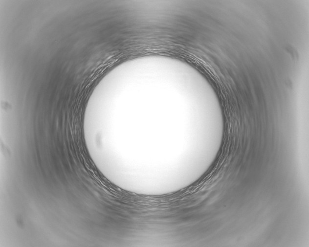 X0000090961298200708021113