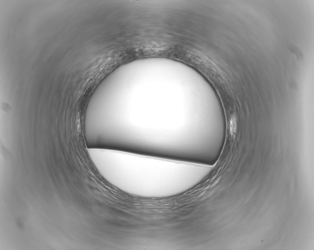X0000090961299200708021113