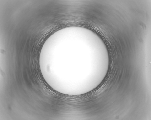 X0000090961300200708021113