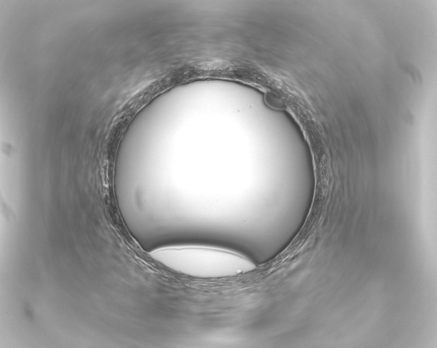 X0000090961301200708021113