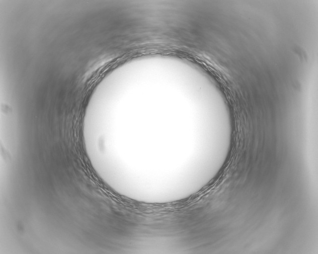 X0000090961302200708021113