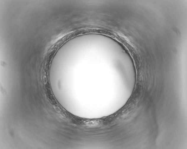 X0000090961303200708021113