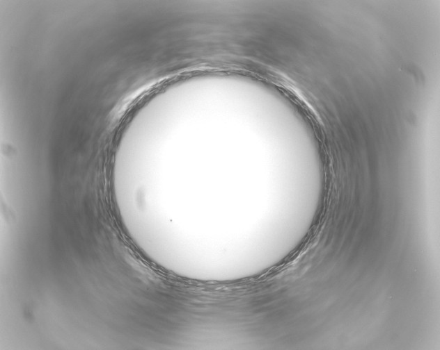 X0000090961304200708021113