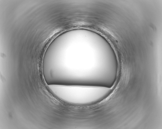 X0000090961305200708021113
