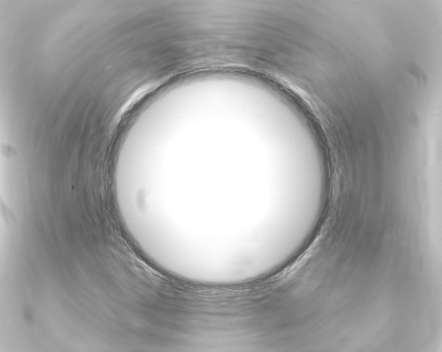 X0000090961306200708021113