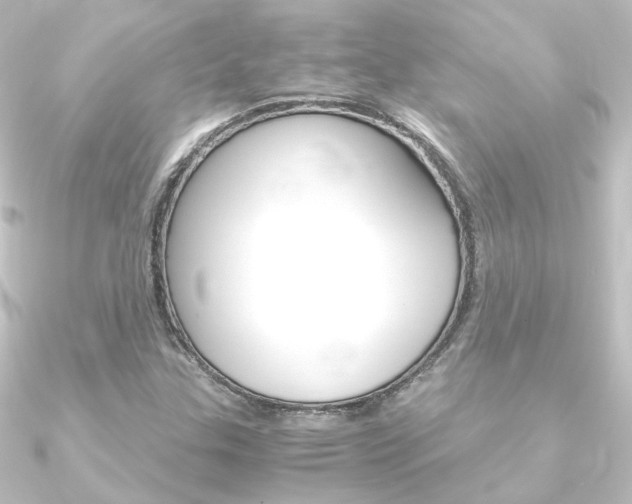 X0000090961307200708021113