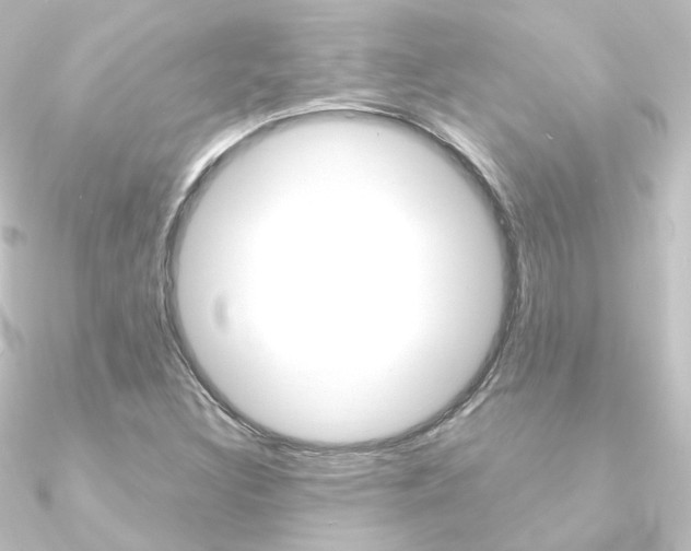 X0000090961308200708021113