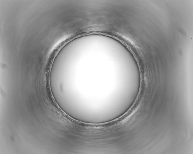 X0000090961309200708021113